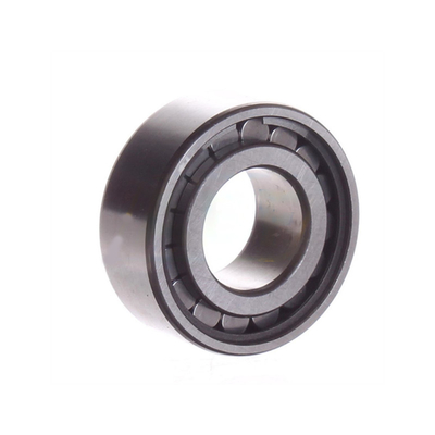 Acciaio cromato Gcr15 NCF 3005 CV Reggio singolo cuscinetto cilindrico completo