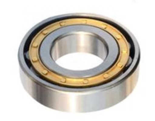 NU1016EM N1017EM NJ10175EM Cuscinetto a rulli in acciaio cromato con sigilli Tipo aperto