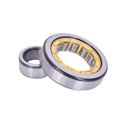 Cuscinetti a rulli cilindrici NJ1021EM/NU1021EM/NF1021EM