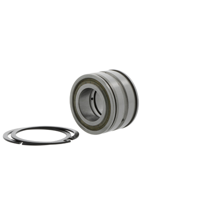 SL04-5005-PP-2NR Double Row Cylindrical Roller Bearing with Performance 25*47*30