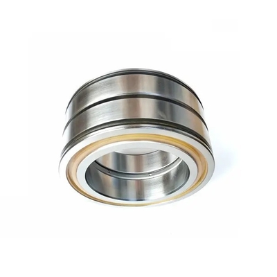 SL04-5005-PP-2NR Double Row Cylindrical Roller Bearing with Performance 25*47*30
