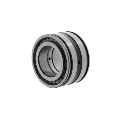 SL04-5005-PP-2NR Double Row Cylindrical Roller Bearing with Performance 25*47*30