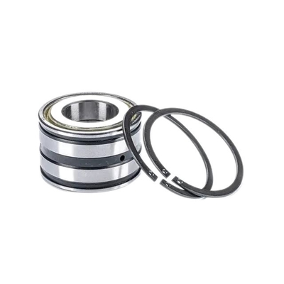 Complemento per l'automotive SL04 5007 PP2NR Cuscinetti a rulli per la durata