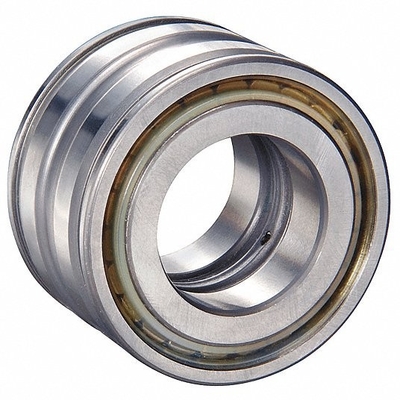 Complemento per l'automotive SL04 5007 PP2NR Cuscinetti a rulli per la durata