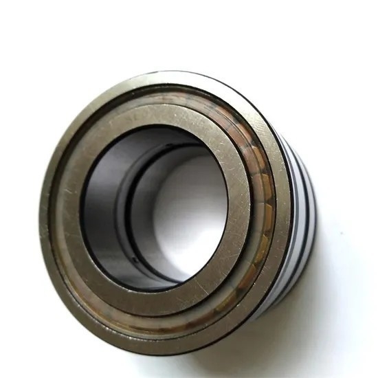 SL04-5005-PP-2NR Double Row Cylindrical Roller Bearing with Performance 25*47*30